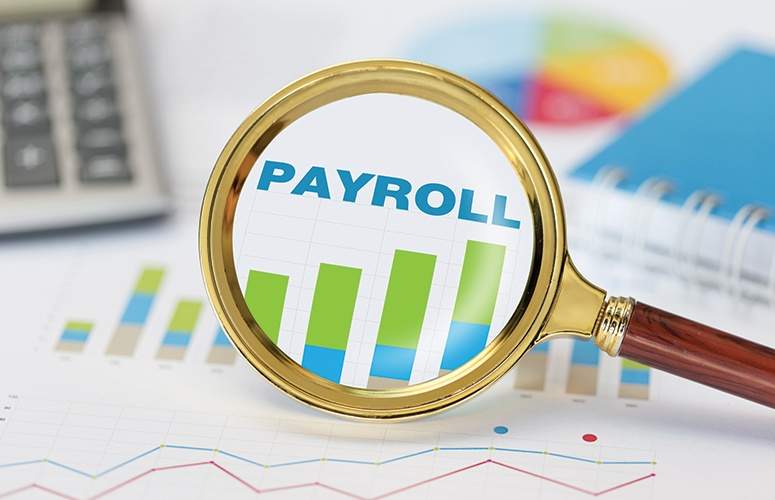 Payroll Processing Services in India